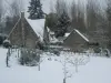 Aldeola do baixo Chevrière - A gouacherie de Calder, sob a neve
