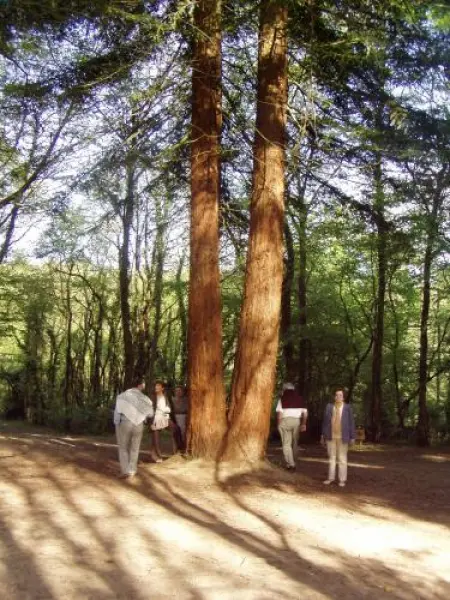 Beaupréau Schlosspark - Wanderungen & Spaziergänge in Beaupréau-en-Mauges