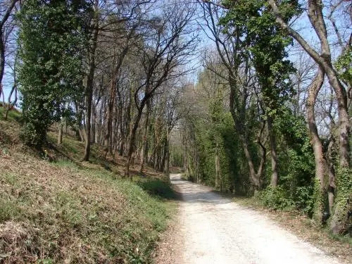 Courrejho (die courrée ) - Wanderungen & Spaziergänge in Ménerbes