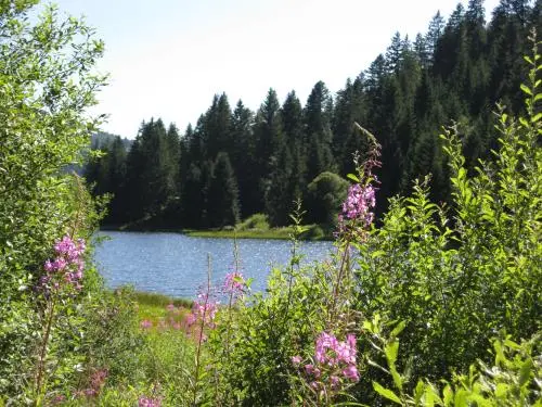 Lispach Lake - Travesías y excursiones en La Bresse