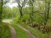 Malecargue Brunnen Kreis - Wanderungen & Spaziergänge in Limogne-en-Quercy