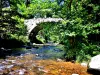 Pont des Fées bridge and Perles de Vologne - Bridge of the Fairies (© J.E)