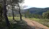 Le sentier des garrigues - Randonnées & promenades à Péret