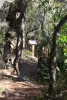 Sentiero Botanico - Escursioni e passeggiate a Cogolin