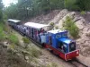 Le p'tit Train de Saint-Trojan - Petit train en forêt domaniale