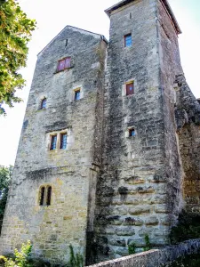 Torre principale del castello (© J.E)