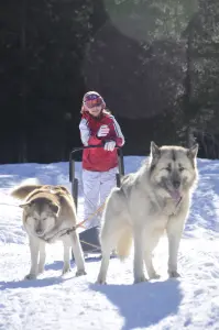 Conduite du traîneau à chiens pour les enfants (© P.Brault)