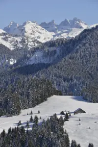 Vue depuis le domaine skiable de l'Essert sur les Dents du Midi (© P.Brault)