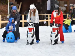 Patinoire à Abondance proche du village (© P.Brault)