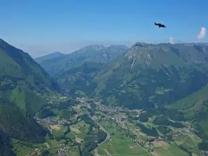 A griffon vulture over the Aspe Valley