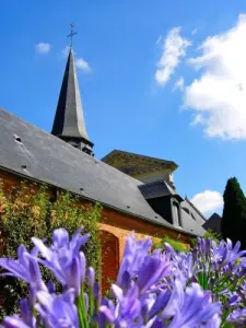 La iglesia, el invernadero, el jardín sur