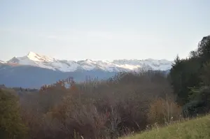 Vista sui Pirenei (Montané)