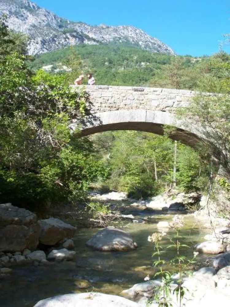 Aiglun - Bridge over the Estéron