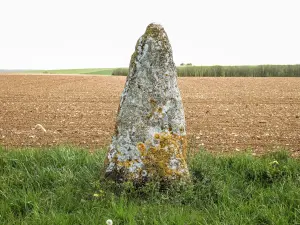 Menhir de Pierre-Fiche (© J.E)