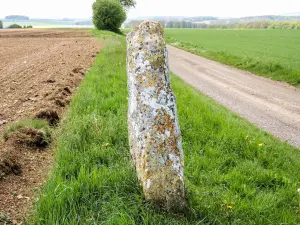 Menhir de Pierre-Fiche (© J.E)