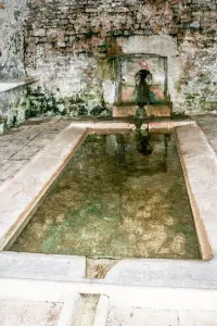 Bassin intérieur du lavoir de la Margelle (© J.E)