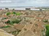 Vue sur les salins depuis les remparts (© J.E)