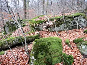 Rocky chaos of the rock of the wolf (© Jean Espirat)