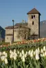 Basilika Saint-Martin - Monument in Aime-la-Plagne