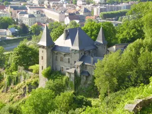 Chateau Handbuch Locatel