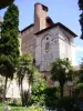 Collégiale Saint-Salvi - Monument à Albi