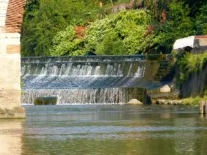 Sur le tarn à Albi