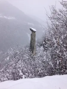 Le Moine de Champlan à Albiez