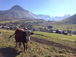 Le village et les Aiguilles d'Arves