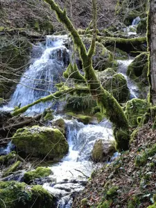 Waterval op de Creek Comboyer (© Jean Espirat)