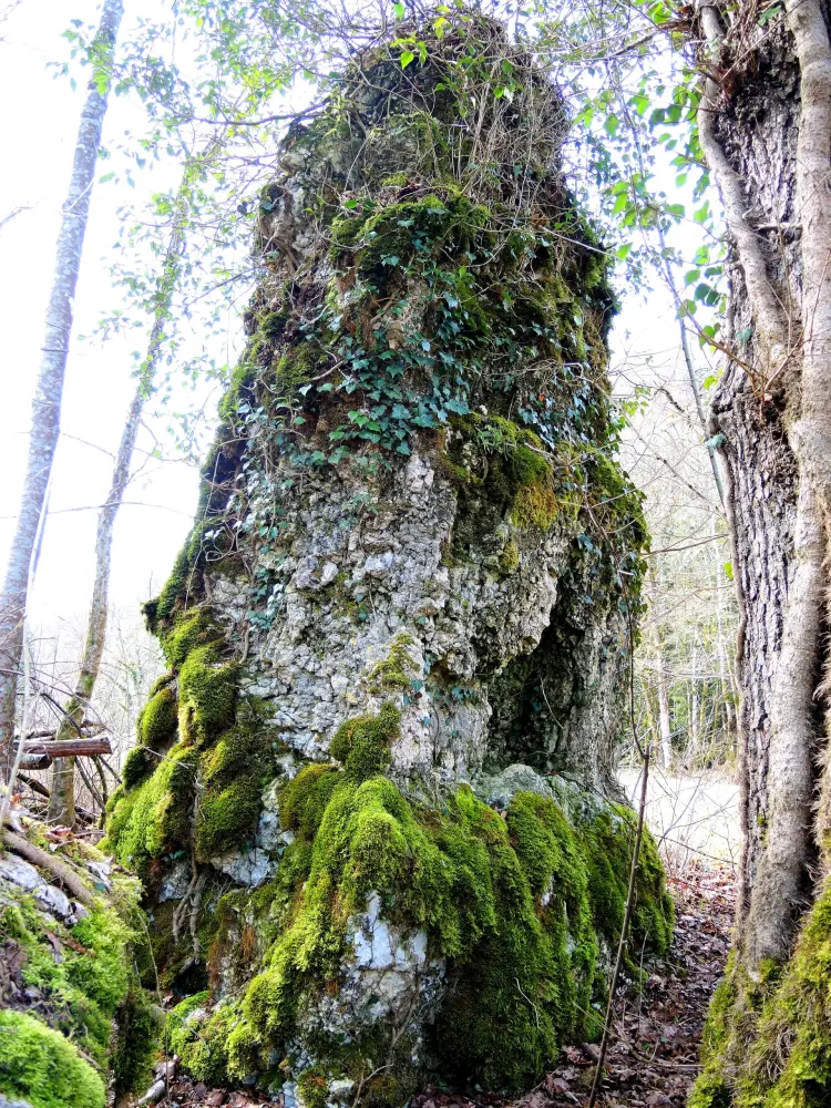 Amancey - Le faux menhir de Norvaux (© Jean Espirat)