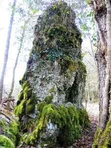 De valse menhir van Norvaux (© Jean Espirat)