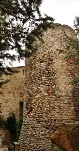 Wehrturm des dreizehnten Jahrhunderts