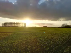 Vue sur la campagne à l'entrée de Ames