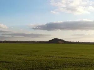 Vue sur le terril n°3 de Ferfay, situé à Ames, avec en arrière-plan le bois de Saint-Pierre