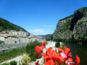 Lo scarafaggio di Anduze visto dal ponte