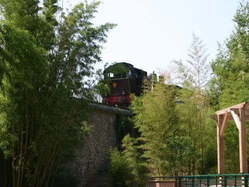 Anduze - Cevennes steam train