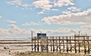 Low tide