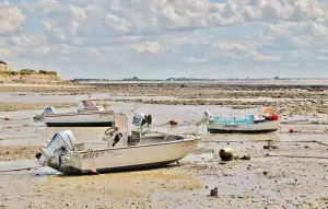 Low tide