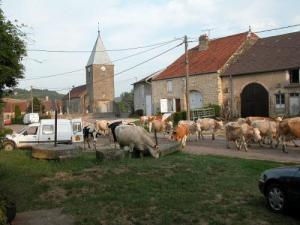 Anrosey Alchetron, The Free Social Encyclopedia