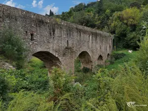 The aqueduct