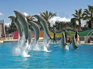 Marineland