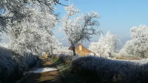 Hoarfrost at Charbonnet