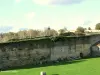 Apremont - 101 Vendeanen werden in 1794 tegen deze muur beschoten