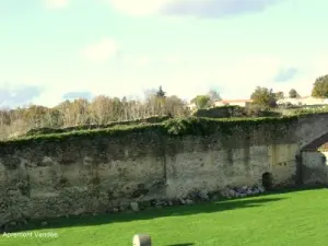 101 Vendiani furono fucilati contro questo muro nel 1794