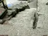 Apremont - Stappen uitgehouwen in graniet daterend uit de Middeleeuwen