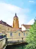 Church tower behind Cuisance (© Jean Espirat)