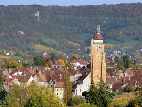 Vue d'Arbois (© Philippe Bruniaux)