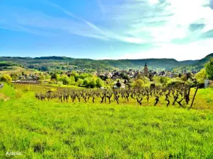 Panorama sur la ville (© Jean Espirat)