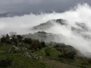 Mist des Sommers auf dem scrubland um das Dorf