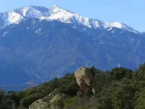 Der Elefant Granit Straße Sainte-Eulalie